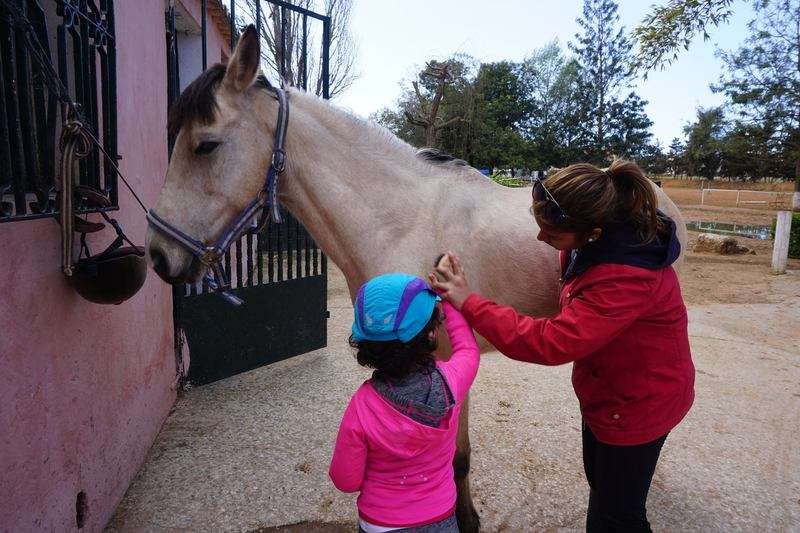 Royal-club-equestre-du-lac